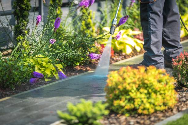 Best Restaurant Pressure Washing  in Nambe, NM